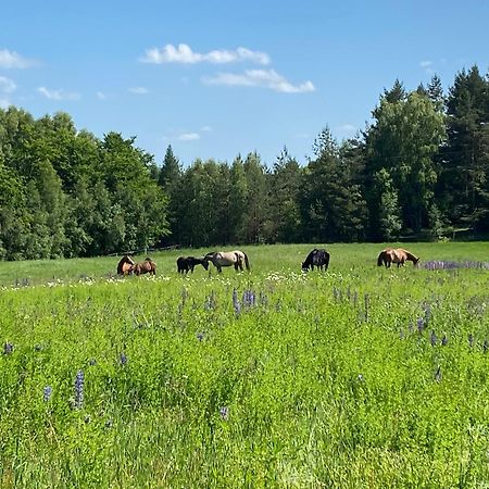 Koziula - Domki I Lesne Spa Na Kaszubach Пшивіц Екстер'єр фото
